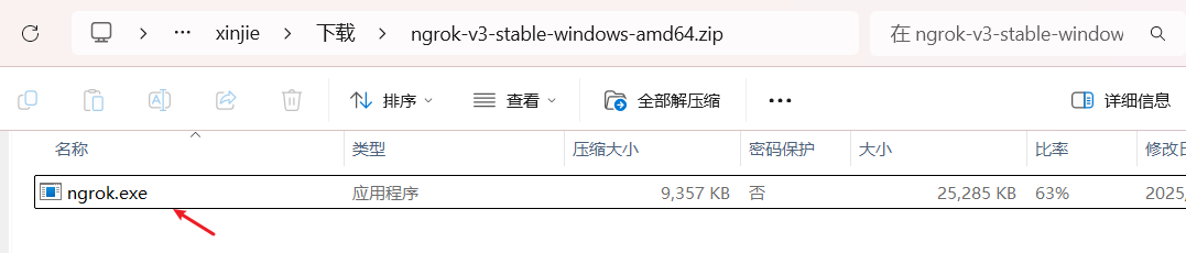 ngrok下载